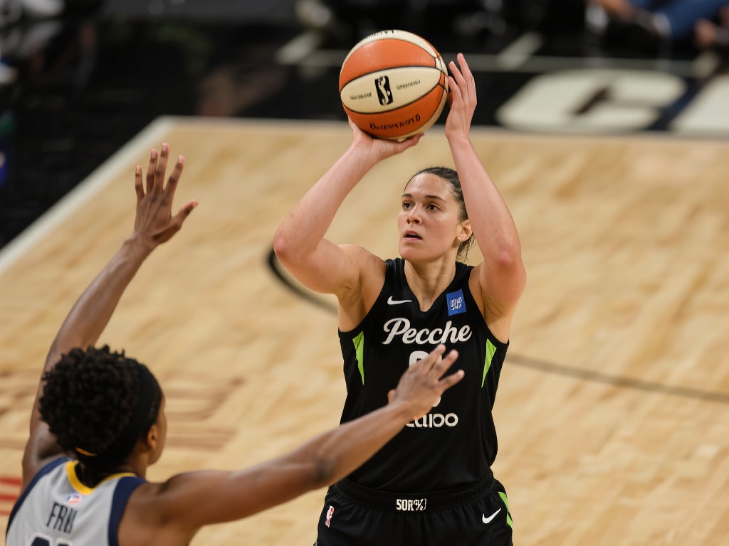 球玩家的竞 球玩家的竞